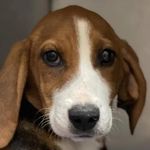 Penny Morse - @ahc_boss - Instagram