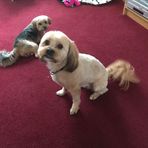 Penny Morton - Facebook