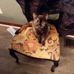 penny morton - @pennymorton5153 - Instagram