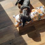 Penny Morton - Facebook