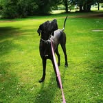 Harz Mountain Penny - @harzmountainpenny - Instagram