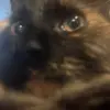pennyatethatup - @pennymount - TikTok