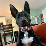 Penny Munoz - @pennypoohpoohbearmunoz - Instagram