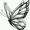 Penny Munoz - @pennymunoz - TikTok