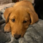 Penny Murdock - @pennymurdock14 - Instagram