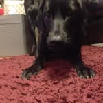 Penny Murdock - @murdocktom14 - Instagram