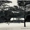 Penny Nelson - @homestead.onthe.hill - TikTok