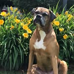 Penny Nickles - @pe.nny4950 - Instagram