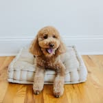 Penny Oates - @flygirlpenny - Instagram