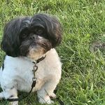 Penny Highwood-ogle - @highwoodogle - Instagram