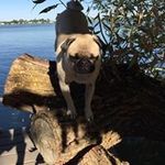 Penny L. Ogle - @48penogle - Instagram