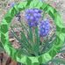 Penny Ogle - Facebook