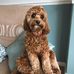 Penny Ogley - Facebook
