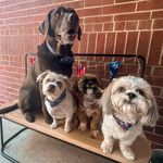 Penny Yost Ogle - @txpenny - Instagram
