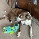Penny Pabst - @peni_beni_2 - Instagram