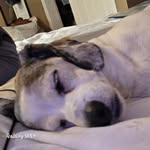 Penny Allison - @pennyallisonparent - Instagram