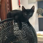 Penny - @penny.parente - Instagram