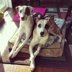 Penny and Patrick - @pennyandpatrick - Instagram