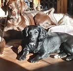 Penny Patrick - Facebook