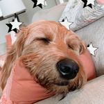 Penny Patrick Triplett - @thepenny.doodle - Instagram