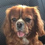 Penny - @penny__patrick - Instagram