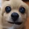 pennypatrick68 - @pennypatrick68 - TikTok