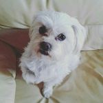 Penny - @penny.peacock - Instagram