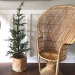 pennypeacock - @pennypeacockchair - Instagram