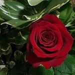 Penny Pearce - @pearcepenny - Instagram