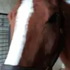 Penny Pearce - @penny.pearce8 - TikTok