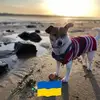 pennypearce980 - @pennypearce980 - TikTok