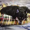ariah - @pennypennerton - TikTok