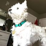 Penny - @penny_penners - Instagram