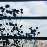 Min - @_penny_pham - Instagram
