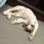 Phạm Penny - @penny.pham.1690 - Instagram