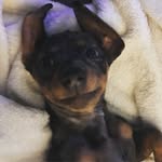 Penny Pickard - @pennymaepickard - Instagram
