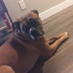 Penny Pickard - @penny.pocket.pickard - Instagram