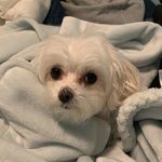 Penny Potts - @_pennypotts - Instagram