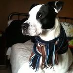 Penny Powers - @ppowerswesa - Instagram