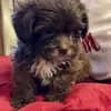 Penny Powers - @pennypowers3 - TikTok