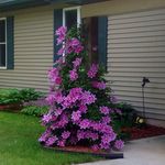 Penny Powers - @penny_powers564 - Instagram