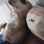 Penny Pride - @pennypride - Instagram