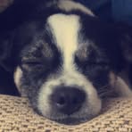 Penny Randall - Facebook
