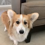 Penny Redden - @prettyasapennyfluffy - Instagram