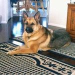 Penny E Rehm - @pennyrehm - Instagram
