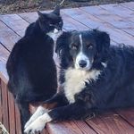 Penny Renner - @therusticpenny - Instagram