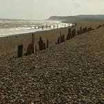 Penny Richardson - @penny.richardson.7798 - Instagram