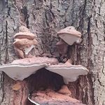 Penny Richardson - @p1961richa - Instagram