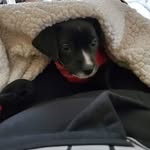 Penny Rister - @rister.penny - Instagram