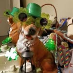 Penny Rister - @risterpenny - Instagram